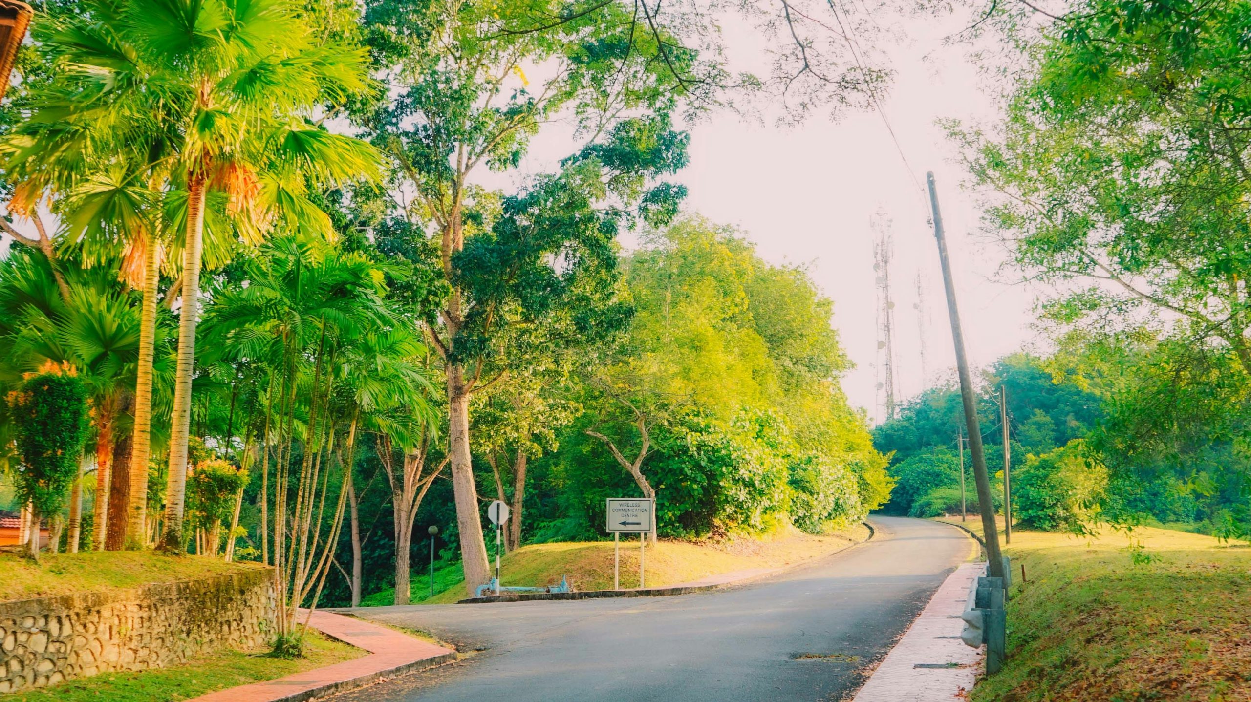 BuddyPress Lead Developer Mathieu Viet Leaves WordPress Ecosystem