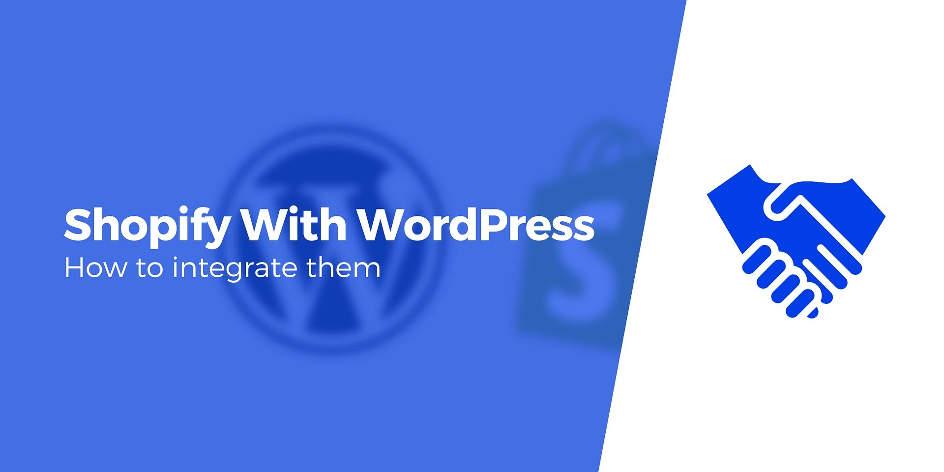 Shopify WordPress Integration: How to Make Them Work Together