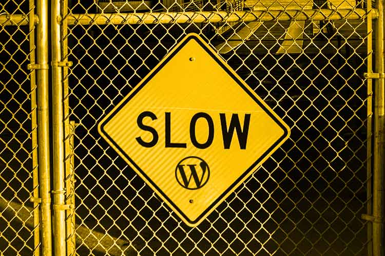Whatu2019s Slowing Down Your WordPress Website?