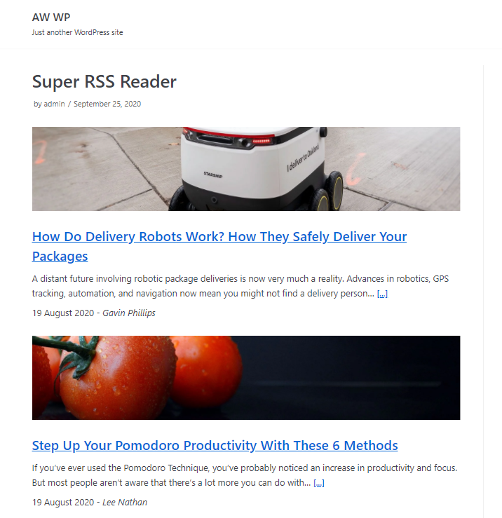 Super RSS Reader - PRO custom template example
